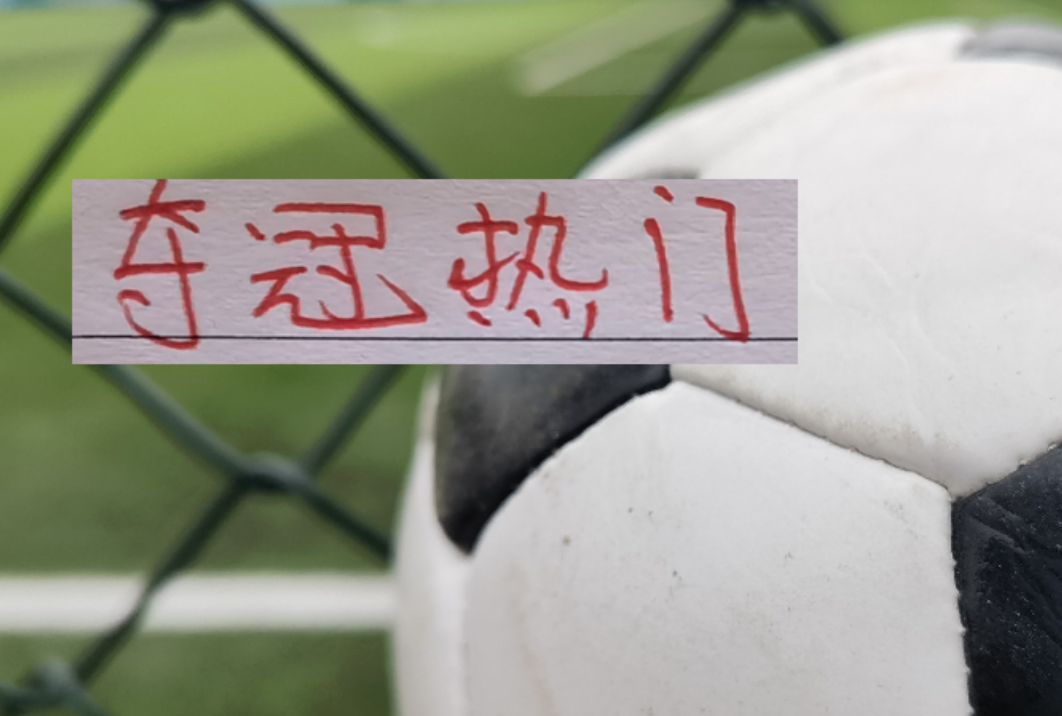 PG电子中国官网-争冠要拼爹！正常人不会把三连冠队伍海港 排除在中超夺冠热门外